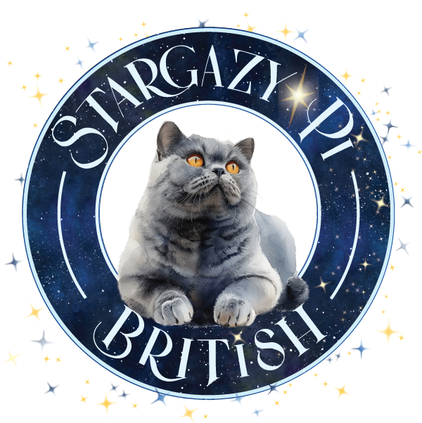 Stargazy Pi Exquisite British Cats